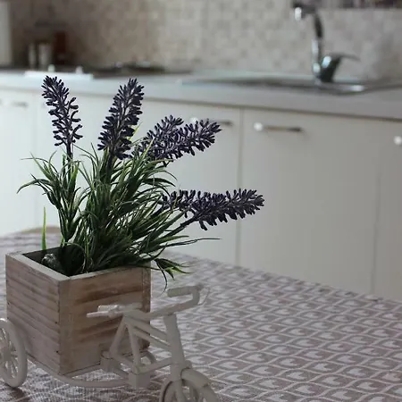 Gassner Maison d'hôtes